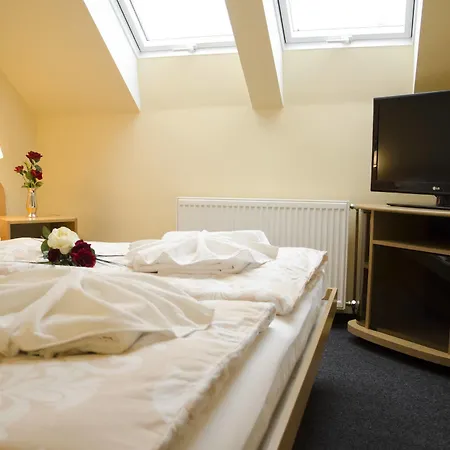 Dolicek Guest house Cheb