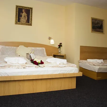 Dolicek Guest house Cheb