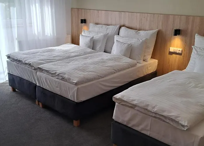 Casa de hóspedes Dolíček 3*